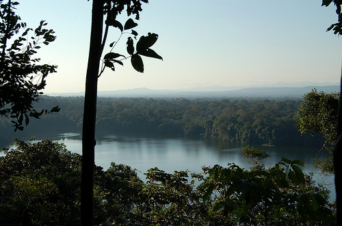 Madidi National Park